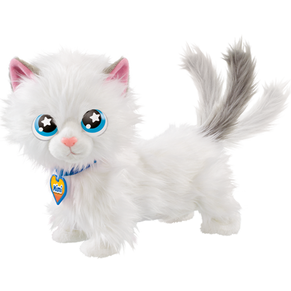 Animagic Gattino