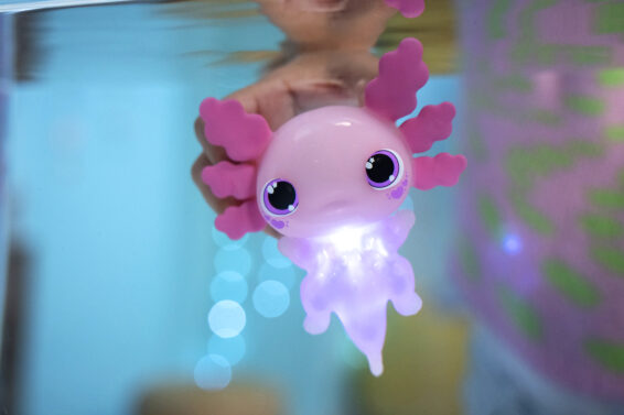Axolotl Goliath