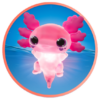 Let's go Axolotl