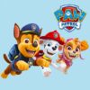 SEQUENCE PAW PATROL