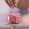 Tasty Tinies Cake Kit