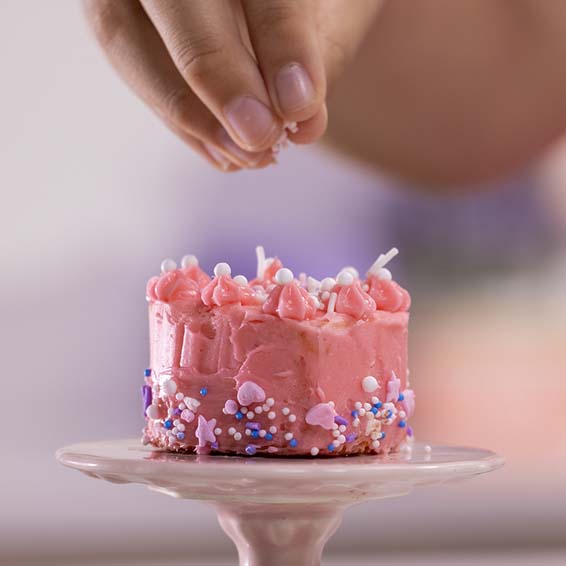 Tasty Tinies Cake Kit