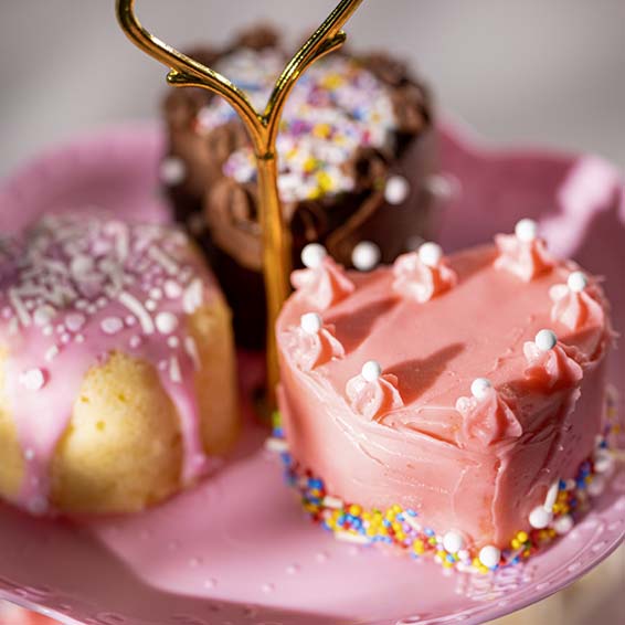 Tasty Tinies Cake Kit