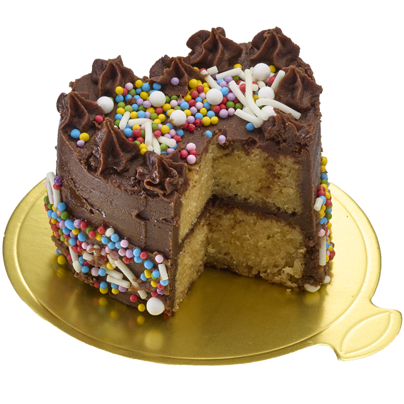 Tasty Tinies Cake Kit