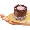 Tasty Tinies Gift Pack