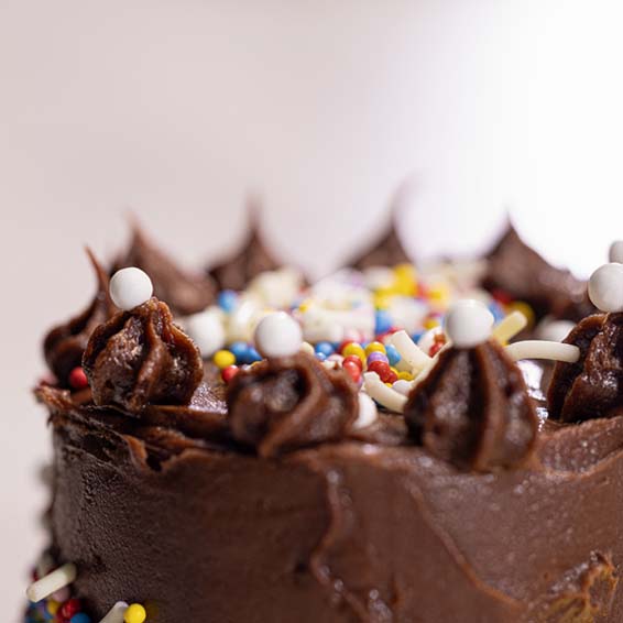 Tasty Tinies Gift Pack